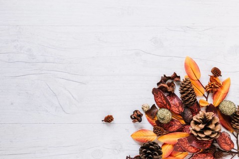 Multicoloured bunch leaves