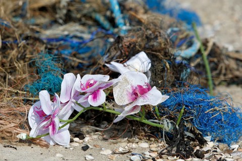 Marine litter washed up on the beach