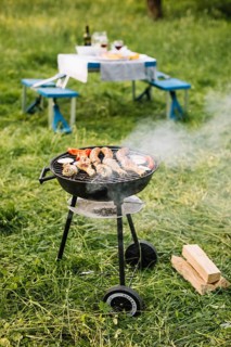 Meat grill nature