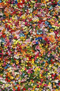 Artificial flowers on a house wall in Lisbon