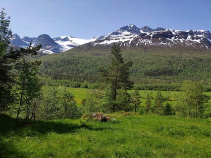 Innerdalen
