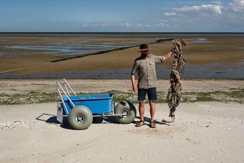 Systematic recording of beach litter on an uninhabited island in the North Sea
