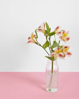 Blossom flowers vase table 6