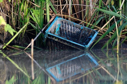 Fish box washed up on the banks of the River Peene