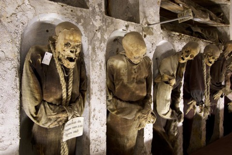 Row of standing mummies