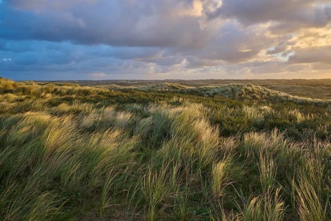 Sand dune