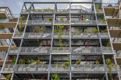 Greened metal staircase