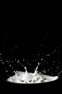 Cereals falling on a plate with splashing milk