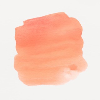 Orange watercolor stained white background