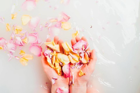 Hands with pile petals