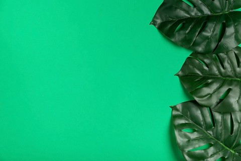 Top view realistic leaves paper