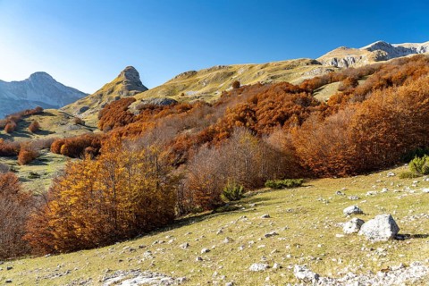 Mountain landscape of Durmitor National Park in autumn