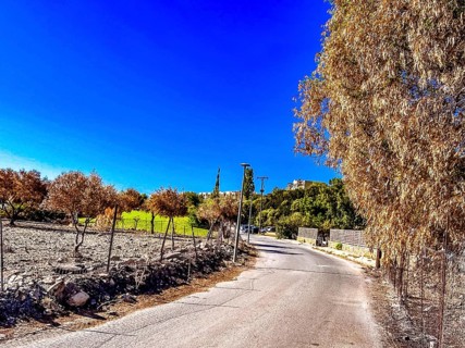 After the great fire in Rhodes in July 2023: Road to Lindos Imperial Hotel