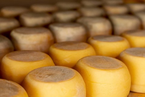Variety rustic cheese wheels