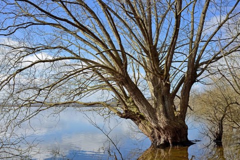 Moehnesee