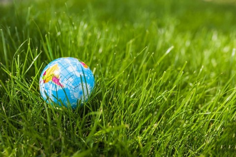 Close up globe ball green grass