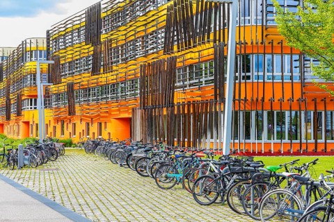 Modern building with green area and parked bicycles