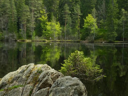 Mathisleweiher