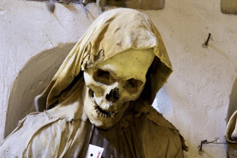 Skull