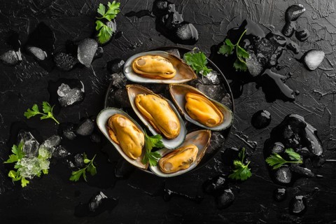 Top view delicious seafood composition2