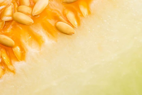 Honeydew melon seeds