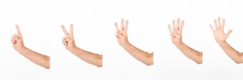 Crop hands counting five