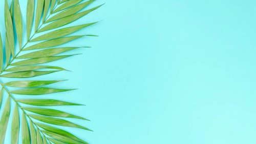 Two green palm leaves table