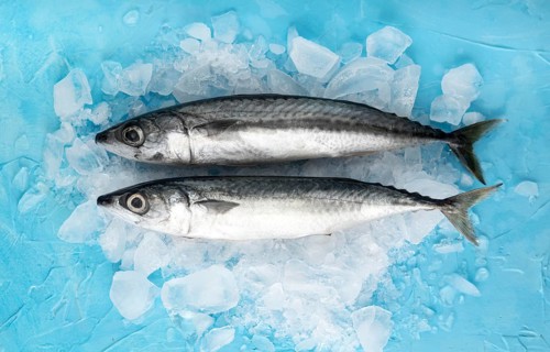 Top view pair fish with ice