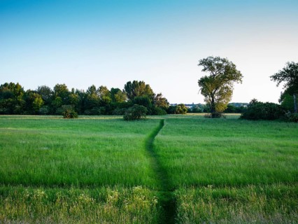 Trail through a field on the Neanderlandsteig