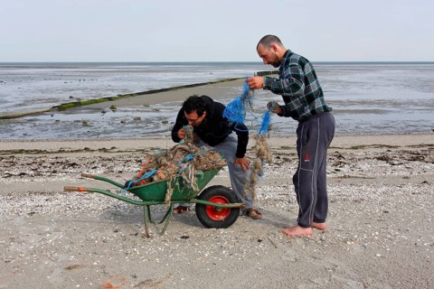 Systematic recording of beach litter on an uninhabited island in the North Sea