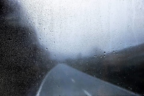 Rain effect nature background