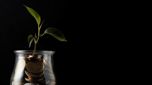 Plant growing from jar coins with copy space
