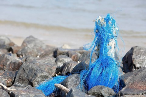 Marine litter washed up on the beach