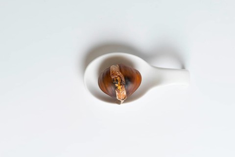 Seasonal chestnuts harvested from the field on a white background