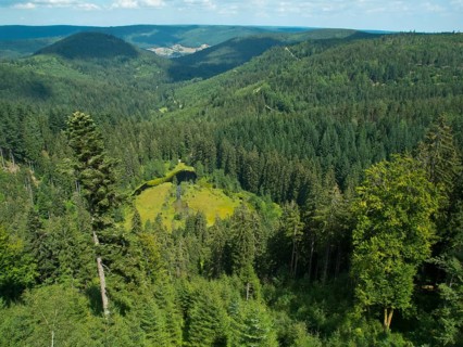 View of Ellbachsee
