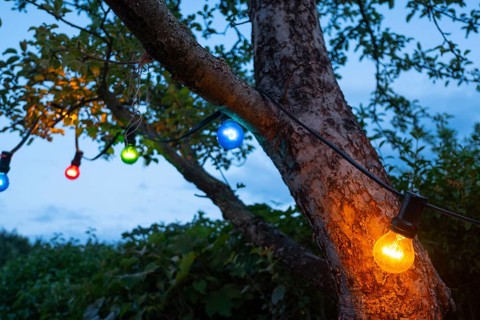 Chain of lights with coloured bulbs hanging in a tree at blue hour