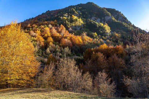 Autumn mountain landscape near Durmitor National Park