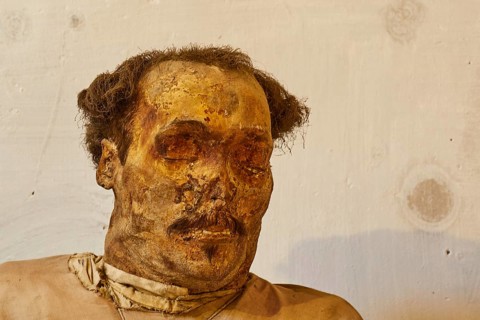 Well-preserved skull