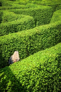 Labyrinth of hedges with three people