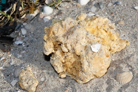 Lumps of paraffin