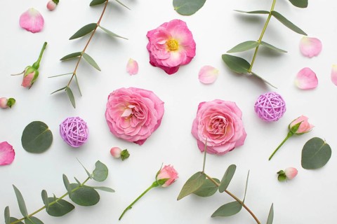 Top view roses petals