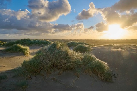 Sand dune