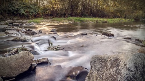 Long exposure of the mountain river in the rays of the setting sun. Water in a raging mountain river. Beautiful natural background of stones and water. Visible river bank. Background to insert a text