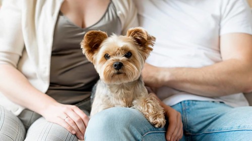 Married couple their dog