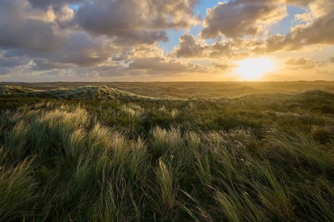 Sand dune