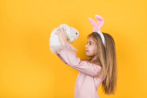 Cute girl bunny ears looking rabbit