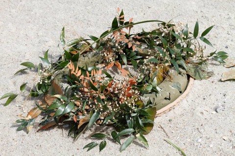 Marine litter washed up on the beach