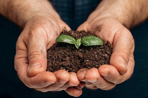 Front view male hands holding soil growing plant