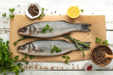 Composition delicious sea food