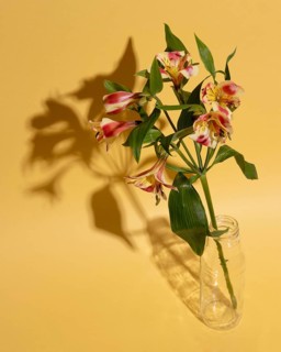 Blossom flower vase table 1